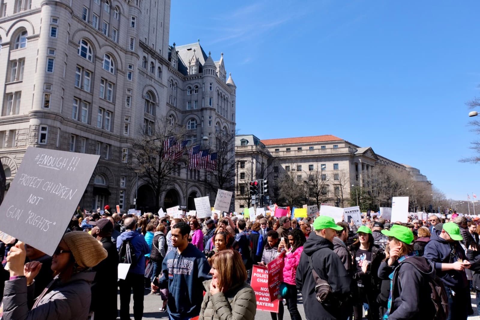 Protest signs in the rally crowd