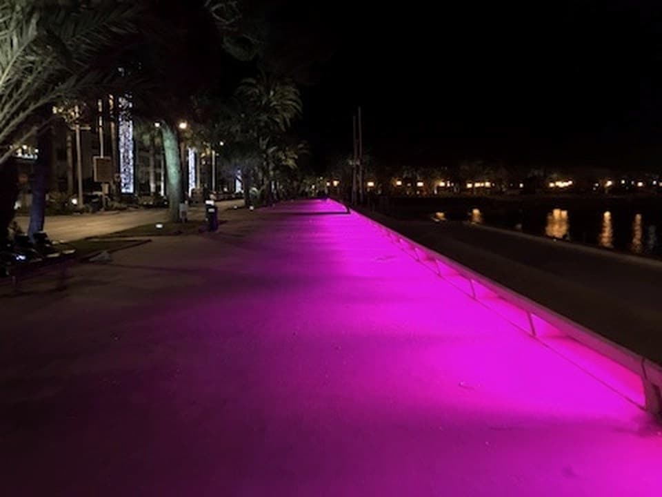 Cannes Croisette lit promenade at night