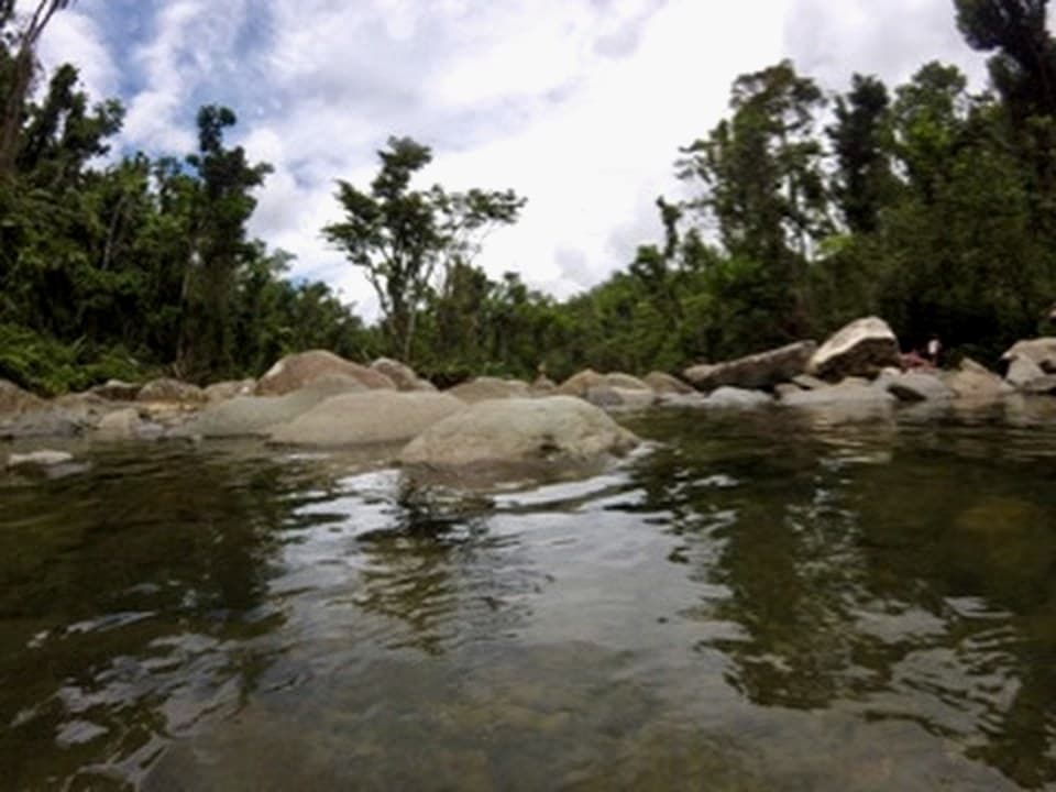 El Yunque rainforest river