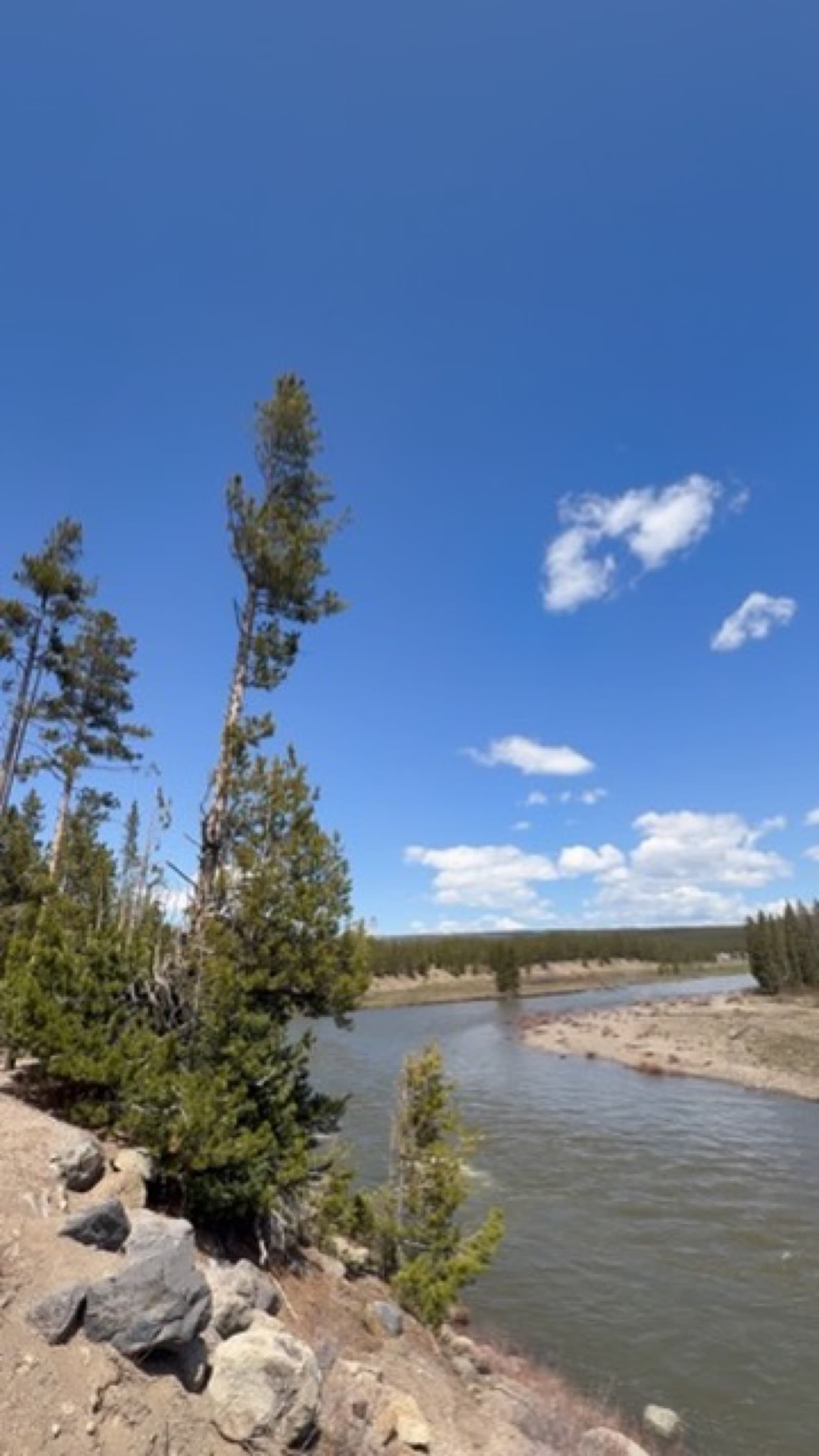River winding through Yellowstone